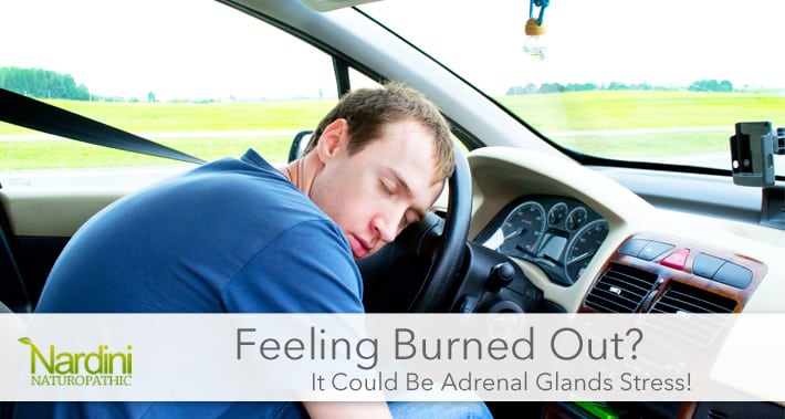 Burnout Adrenal Gland Stress Fatigue | Dr. Pat Nardini | Naturopath Toronto | Nardini Naturopathic