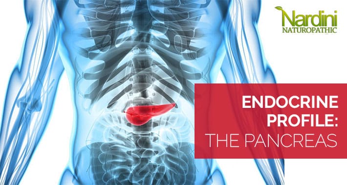 Endocrine Profile: The Pancreas | Nardini Naturopathic | Toronto Naturopath Clinic