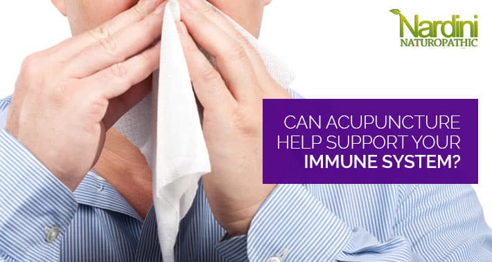Can Acupuncture Help Support Your Immune System? | Nardini Naturopathic | Toronto Naturopath Clinic