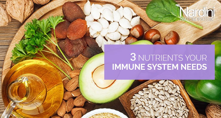 3 Nutrients Your Immune System Needs | Nardini Naturopathic | Toronto Naturopath Clinic
